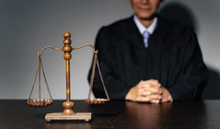 Appellate Judge