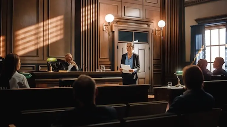 Appellate Lawyer Representing Client in Court