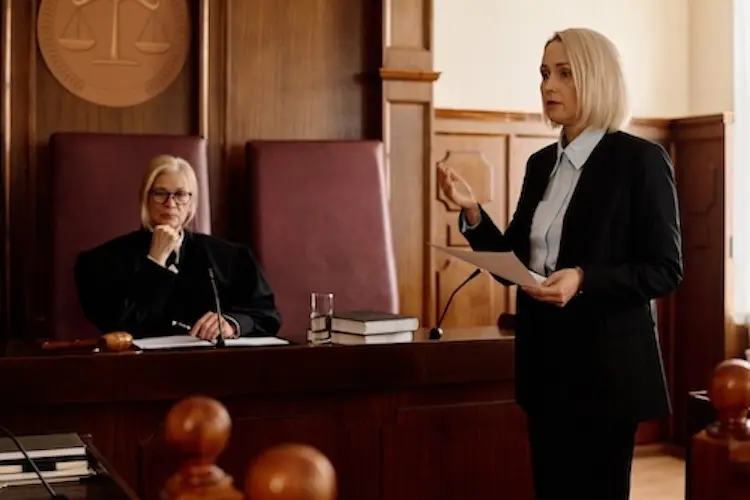 Appellate lawyer in court