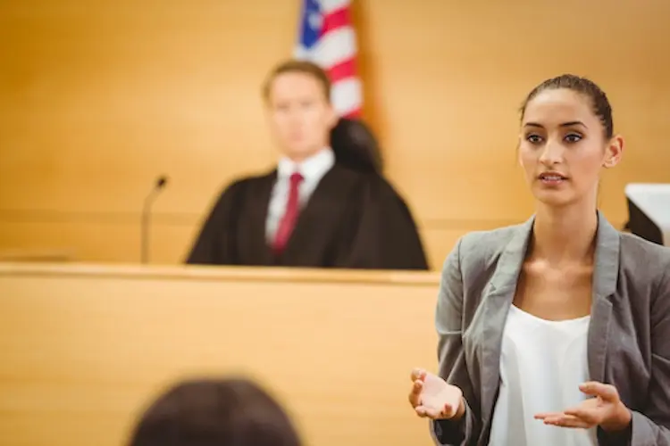 Appellate Attorney