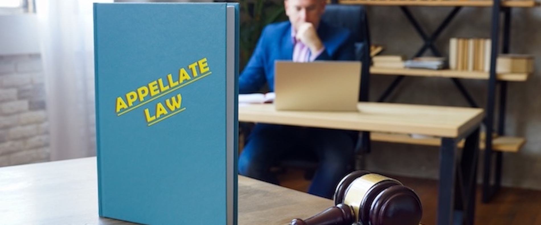 Appellate Litigation